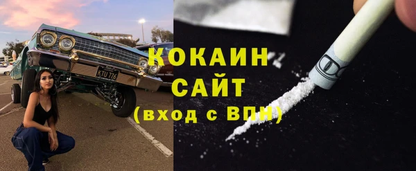 гашик Аркадак