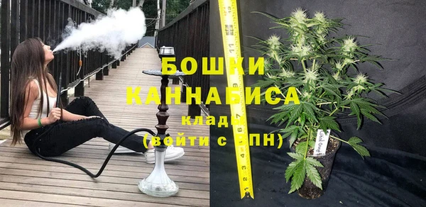 гашик Аркадак